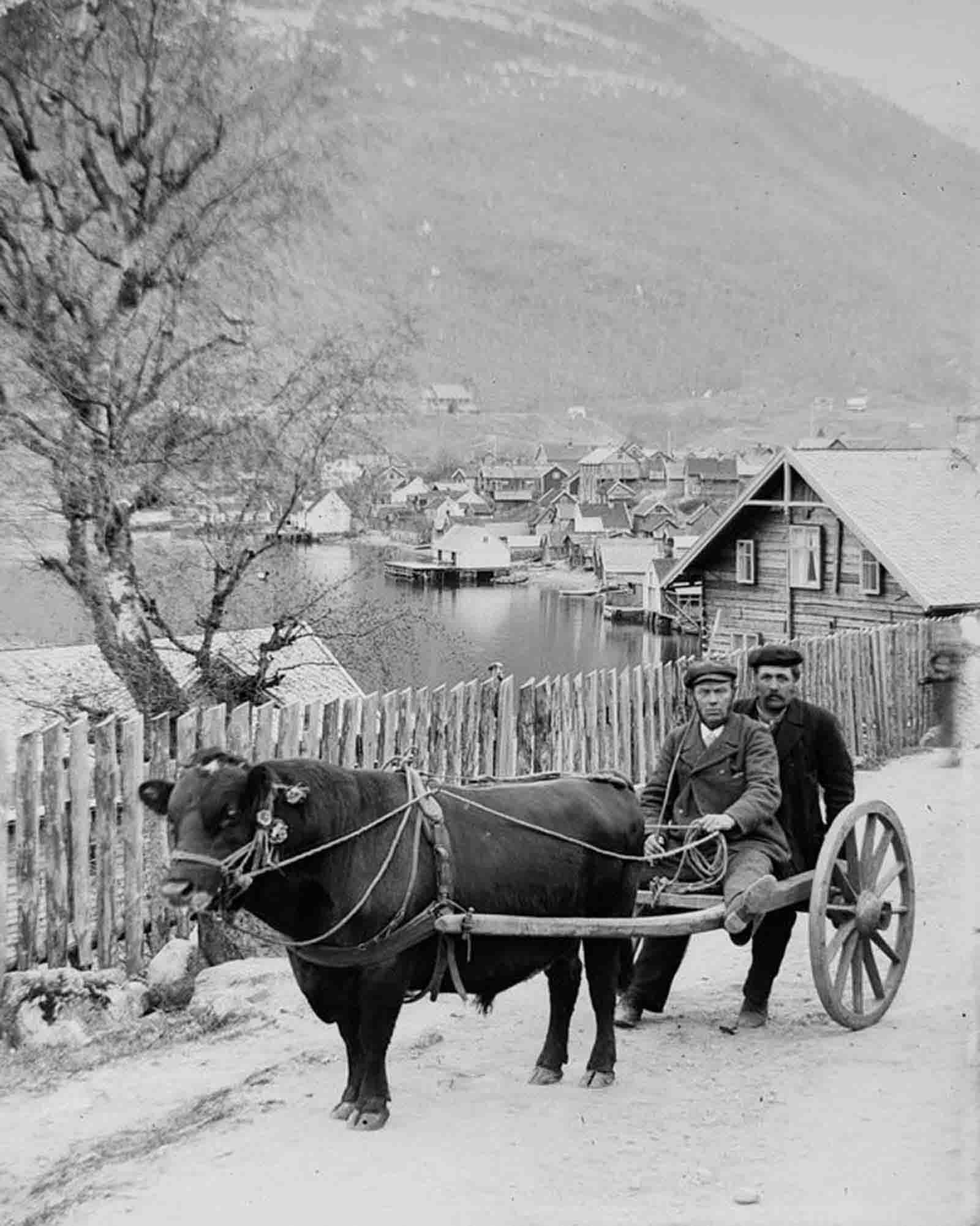 rural norway photographs nils olsson reppen