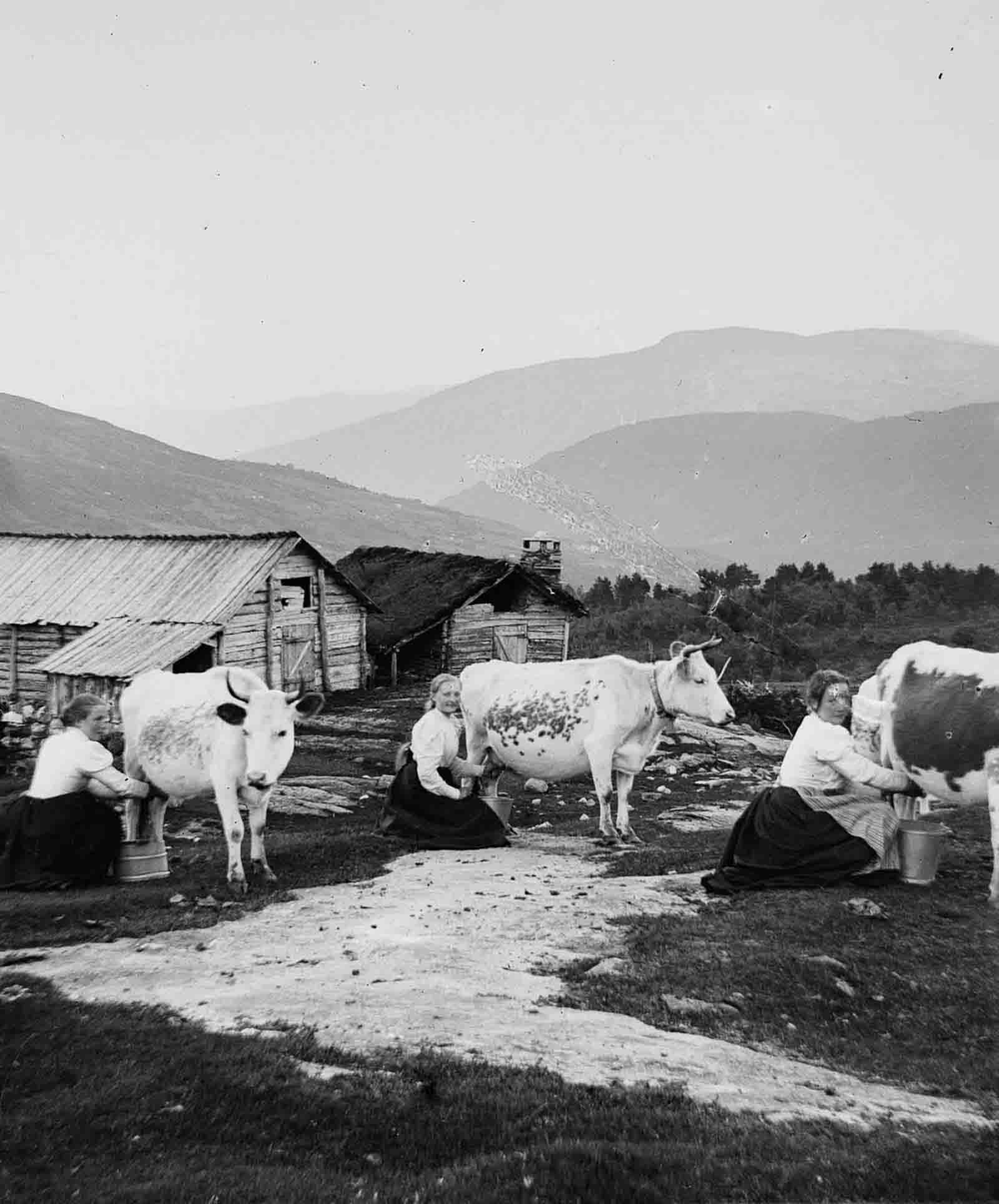 rural norway photographs nils olsson reppen