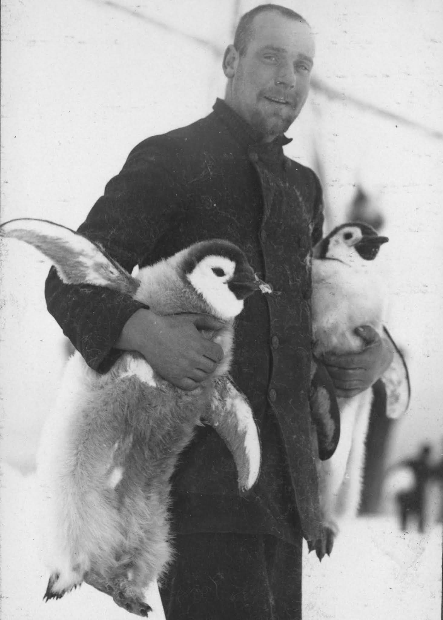 Shackleton Antarctica endurance photographs