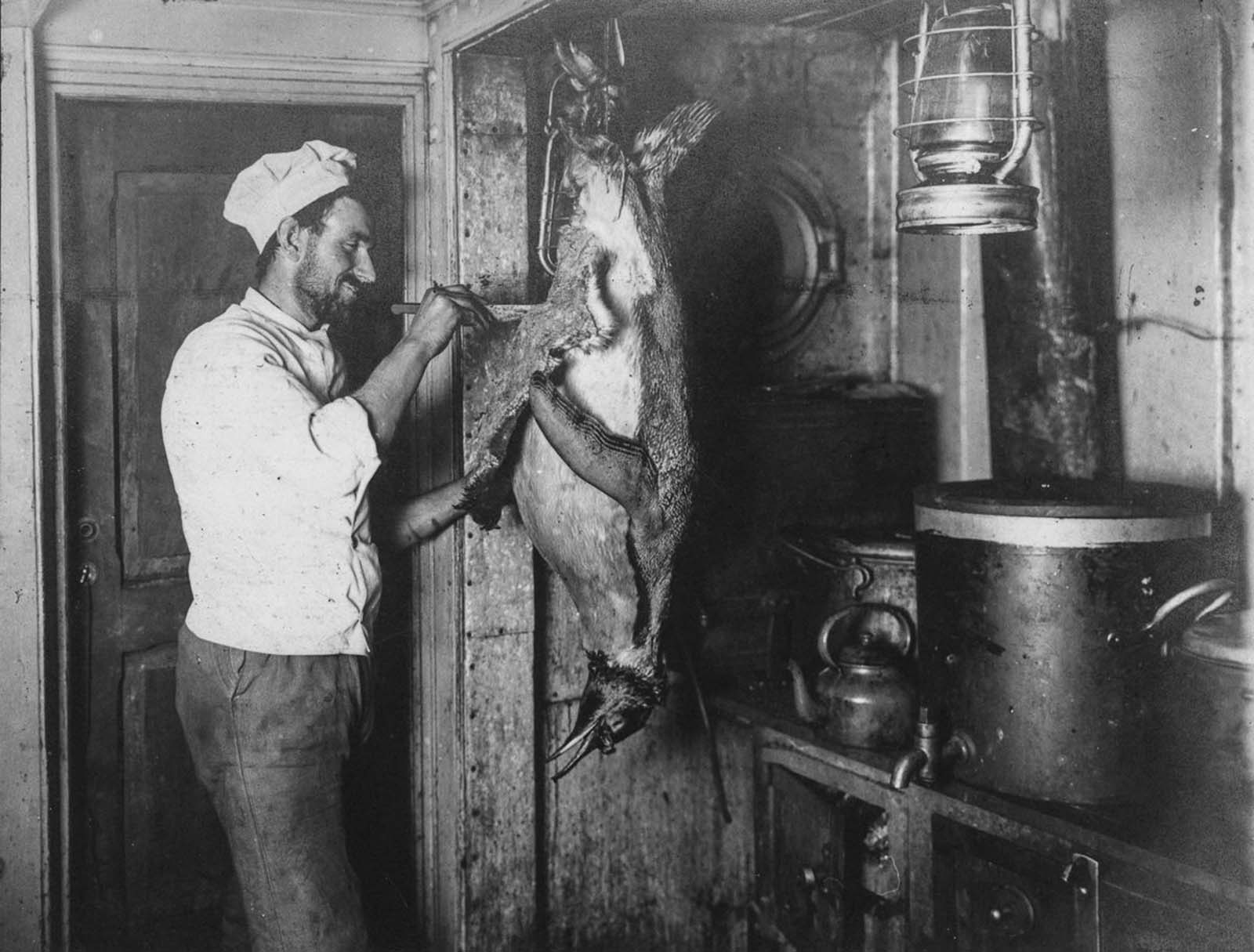 Shackleton Antarctica endurance photographs