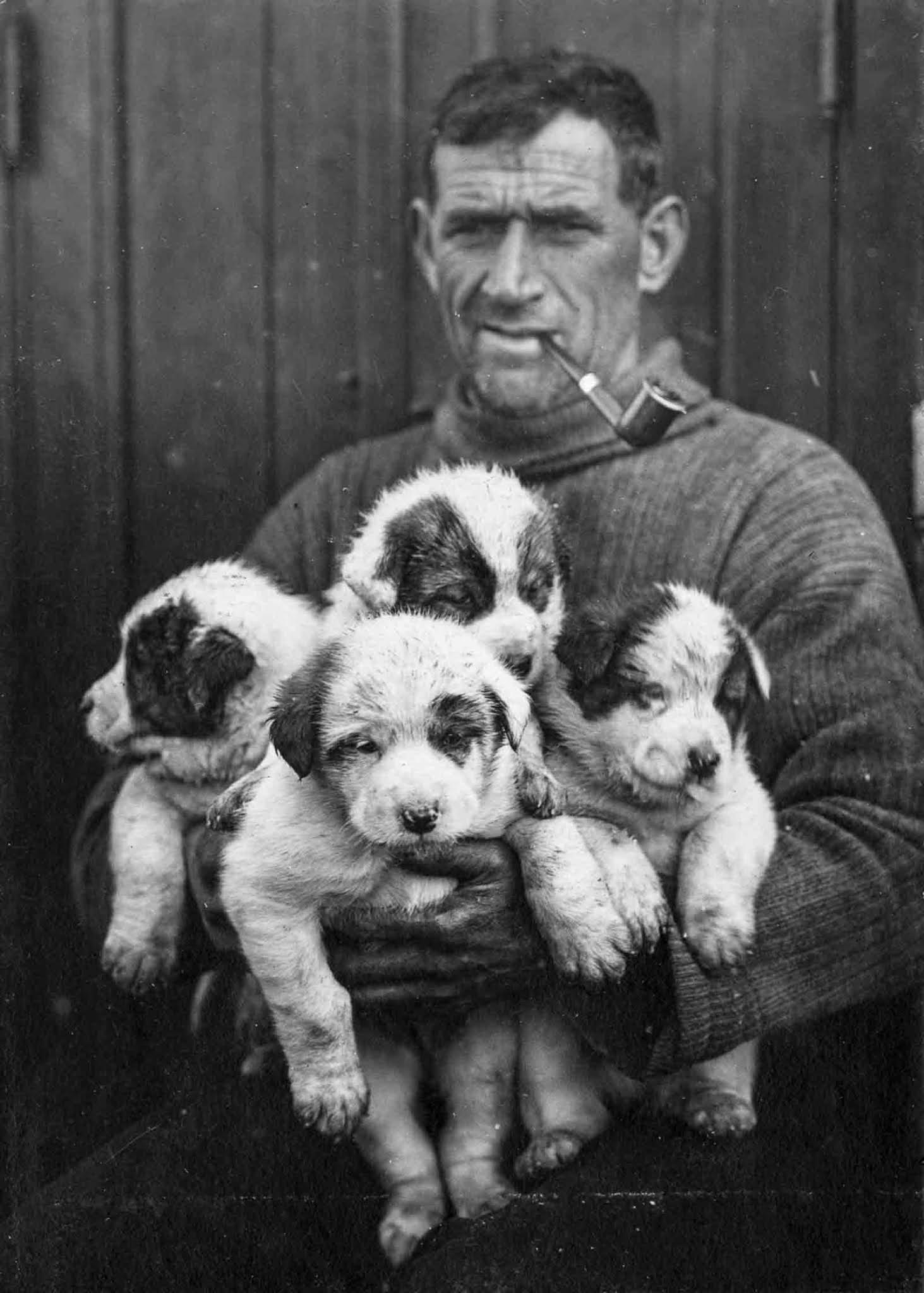 Shackleton Antarctica endurance photographs
