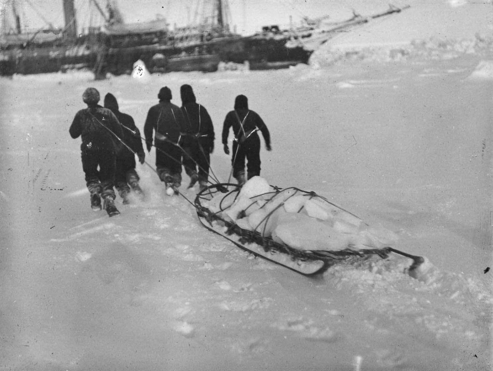 Shackleton Antarctica endurance photographs