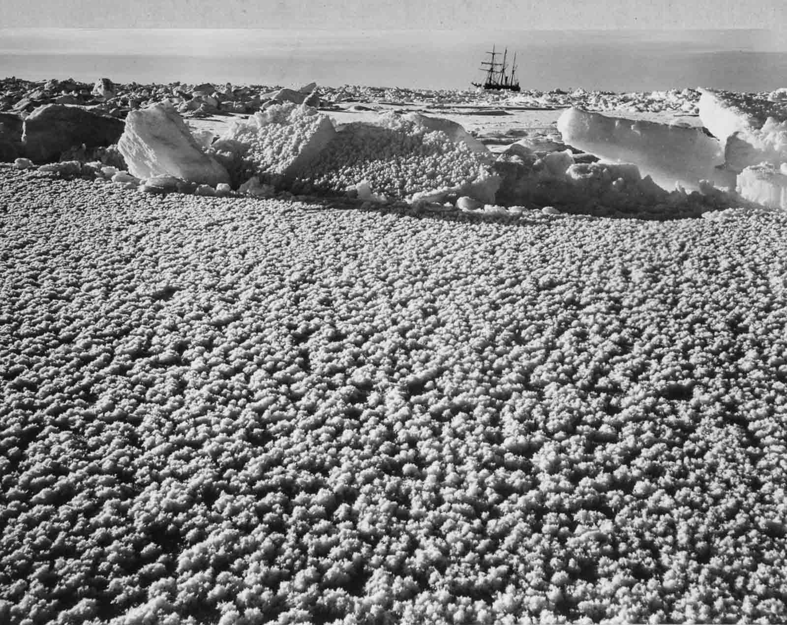 Shackleton Antarctica endurance photographs