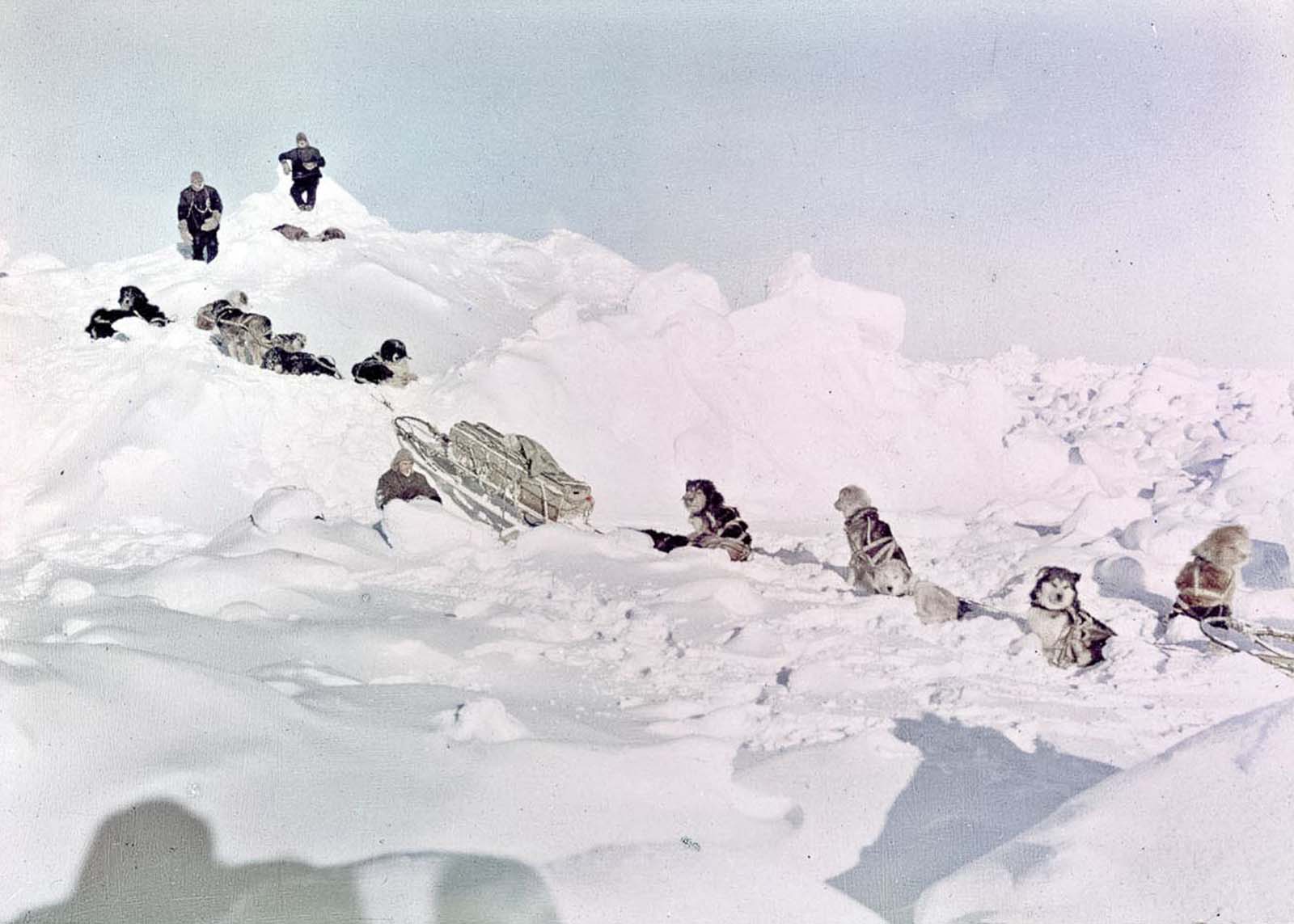 Shackleton Antarctica endurance photographs