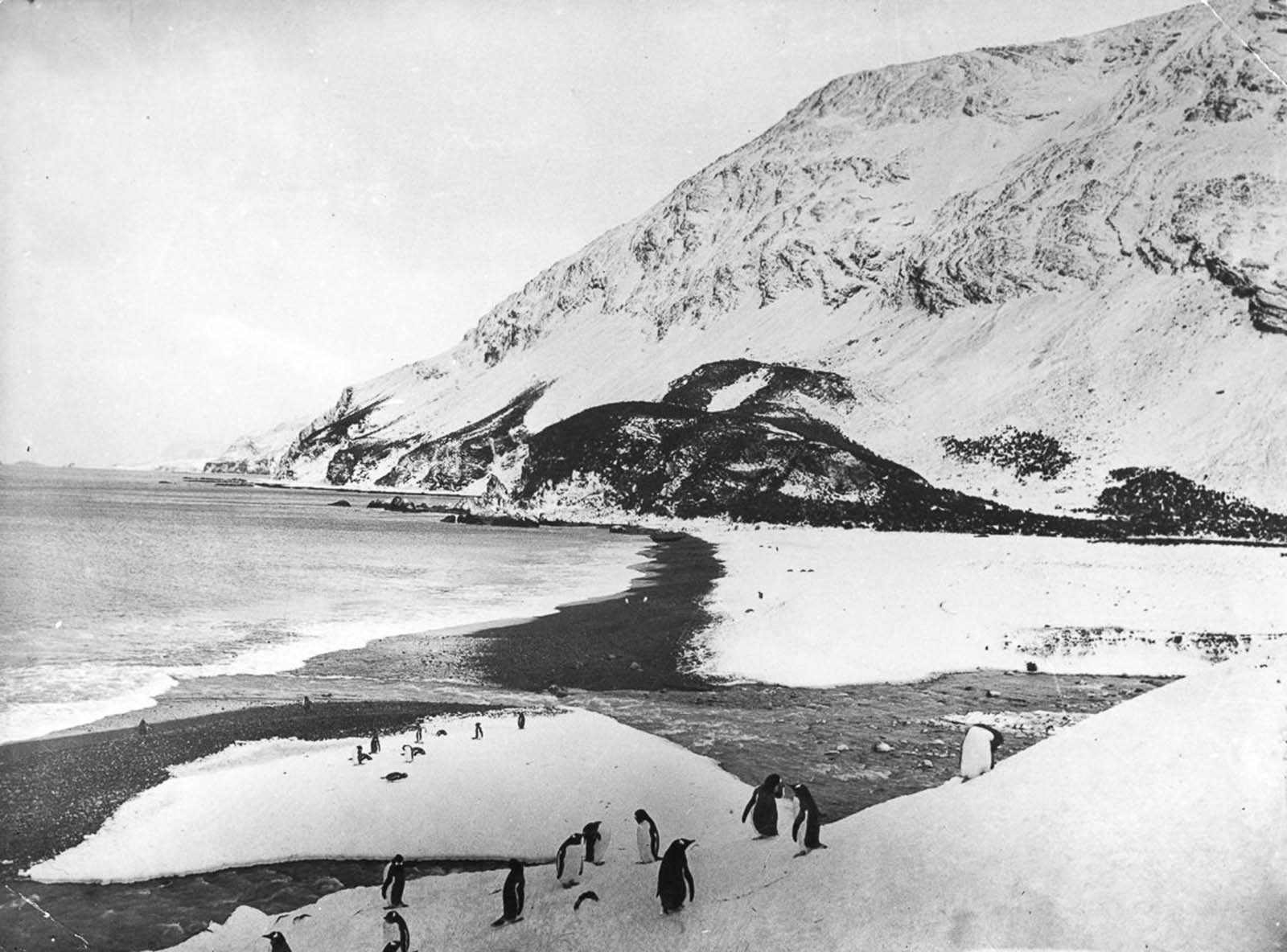 Shackleton Antarctica endurance photographs