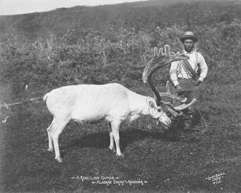 eskimo alaska lomen bros photos