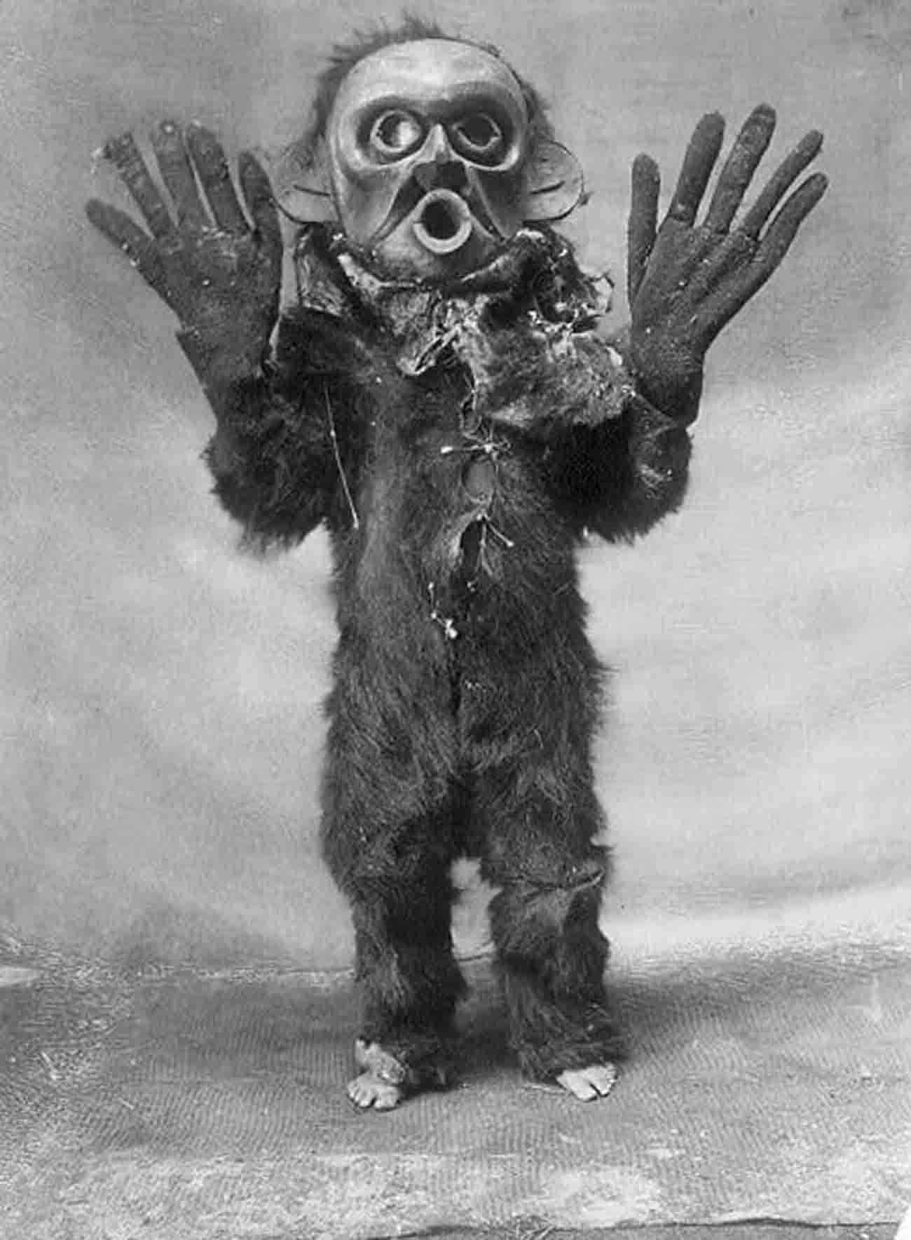 kwakwaka wakw edward curtis photographs