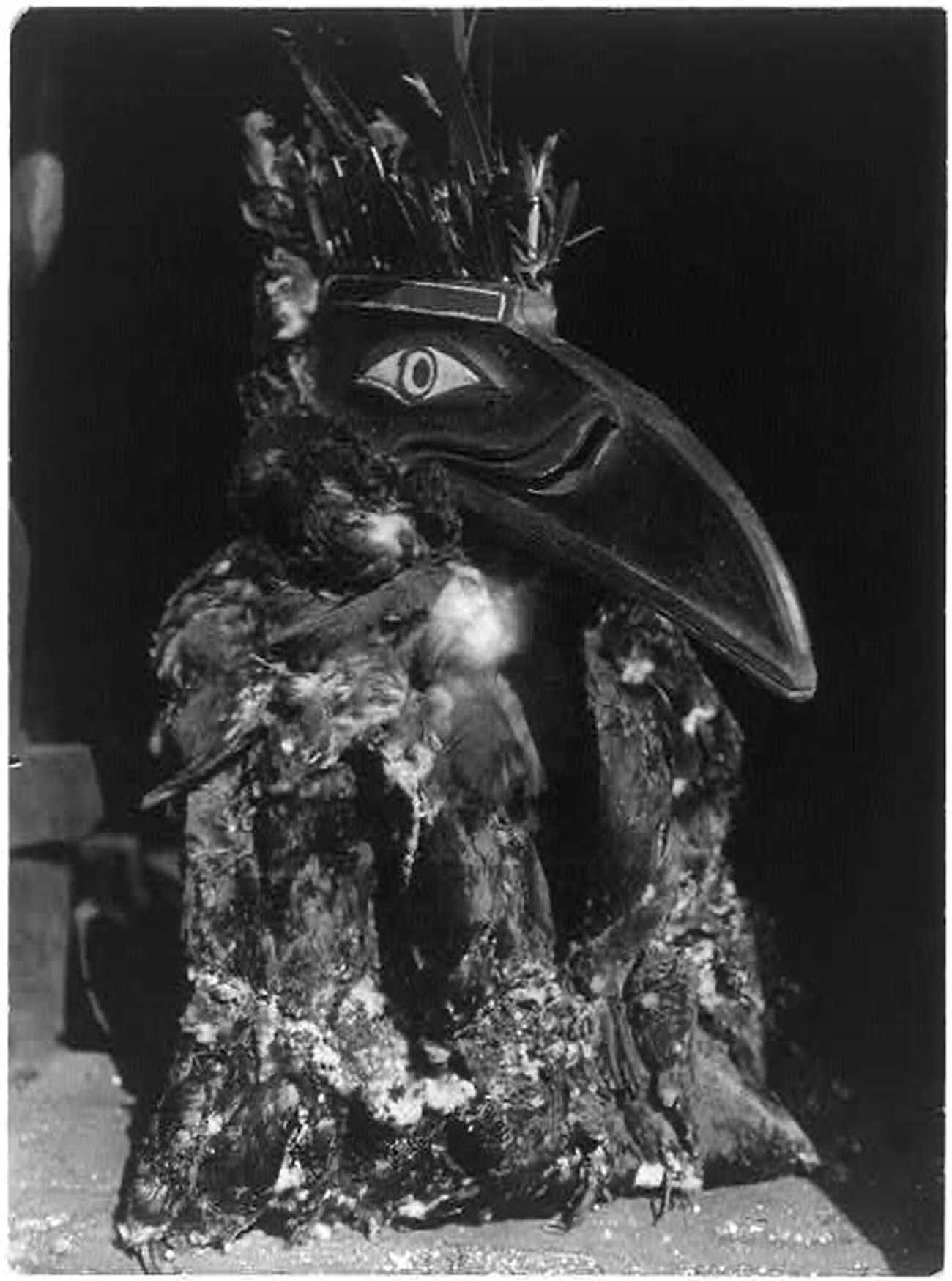 kwakwaka wakw edward curtis photographs