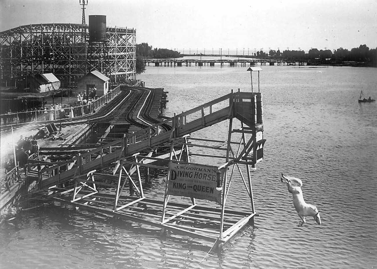 diving horse vintage photos