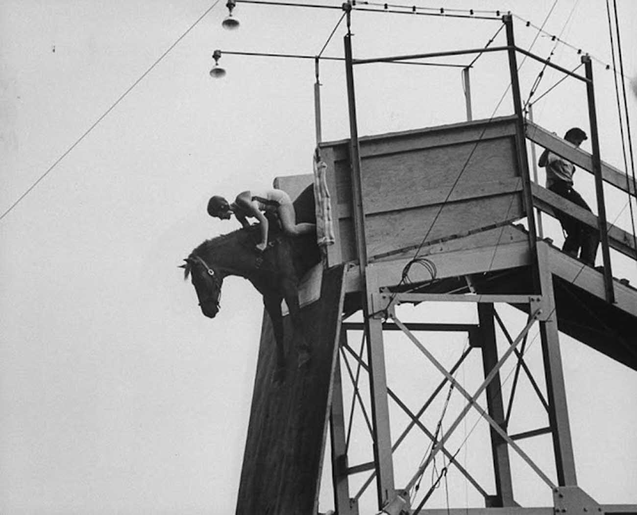diving horse vintage photos