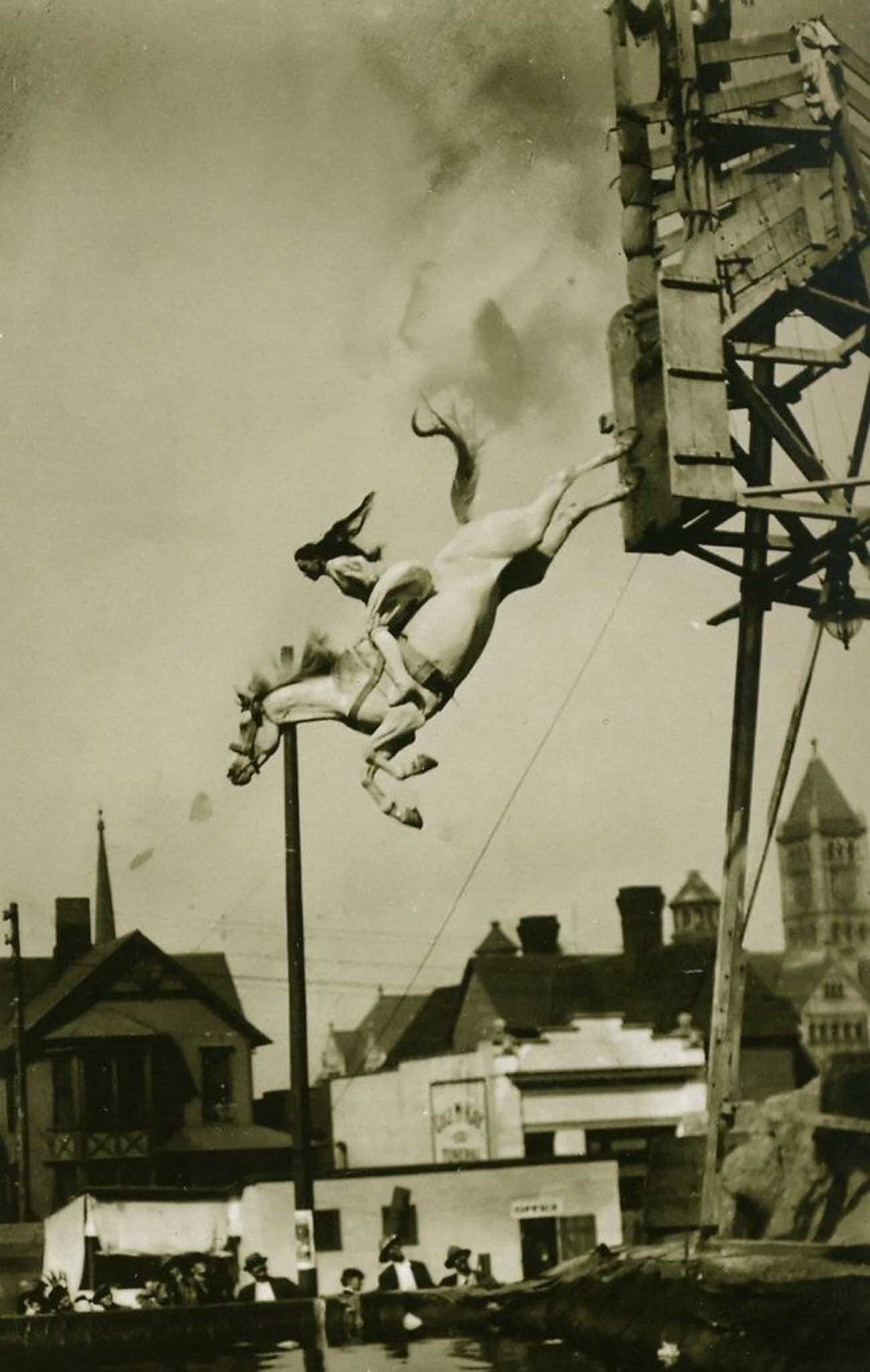 diving horse vintage photos