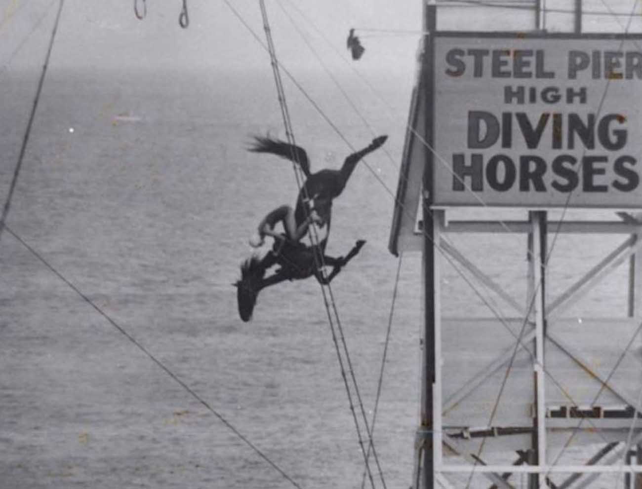 diving horse vintage photos