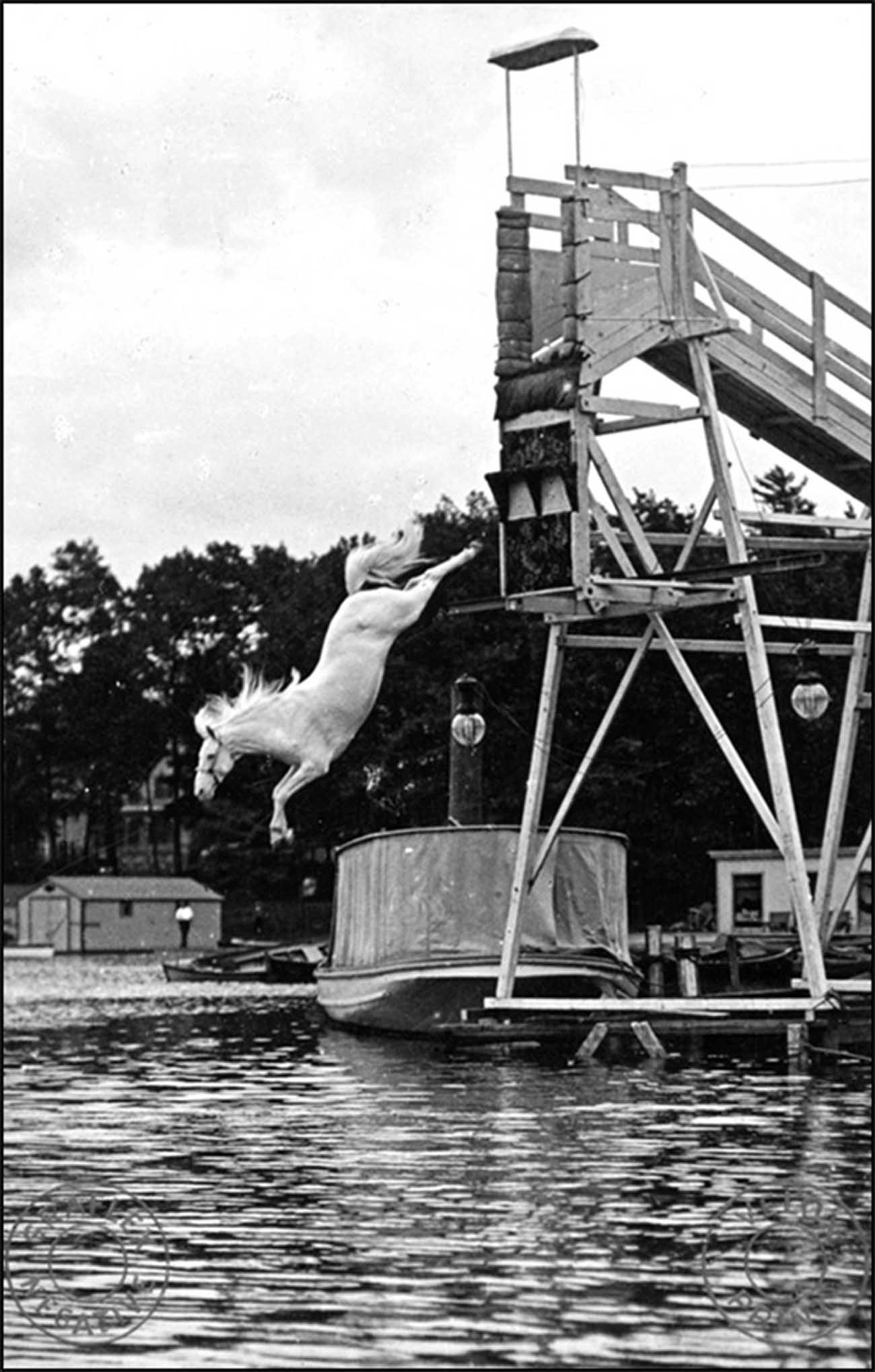 diving horse vintage photos