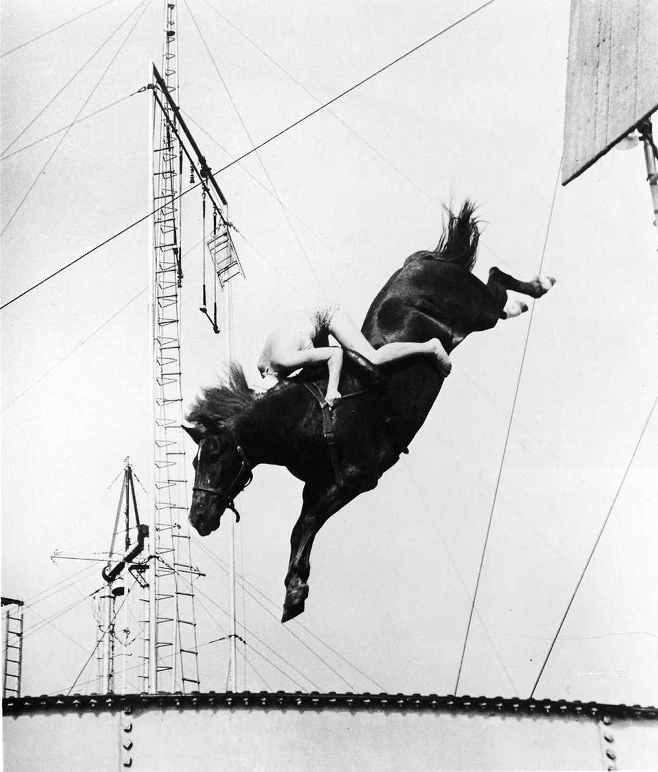 diving horse vintage photos