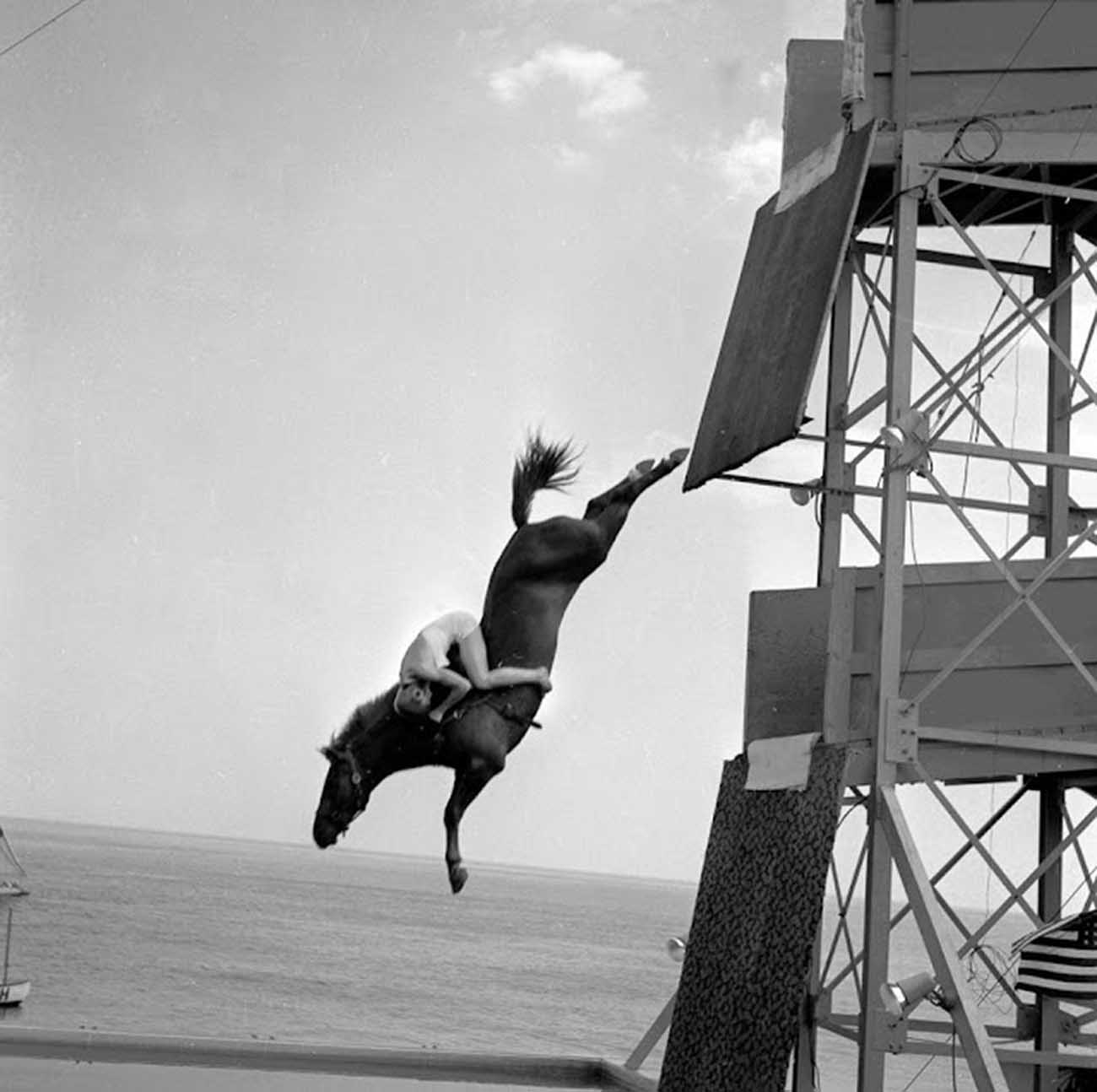 diving horse vintage photos