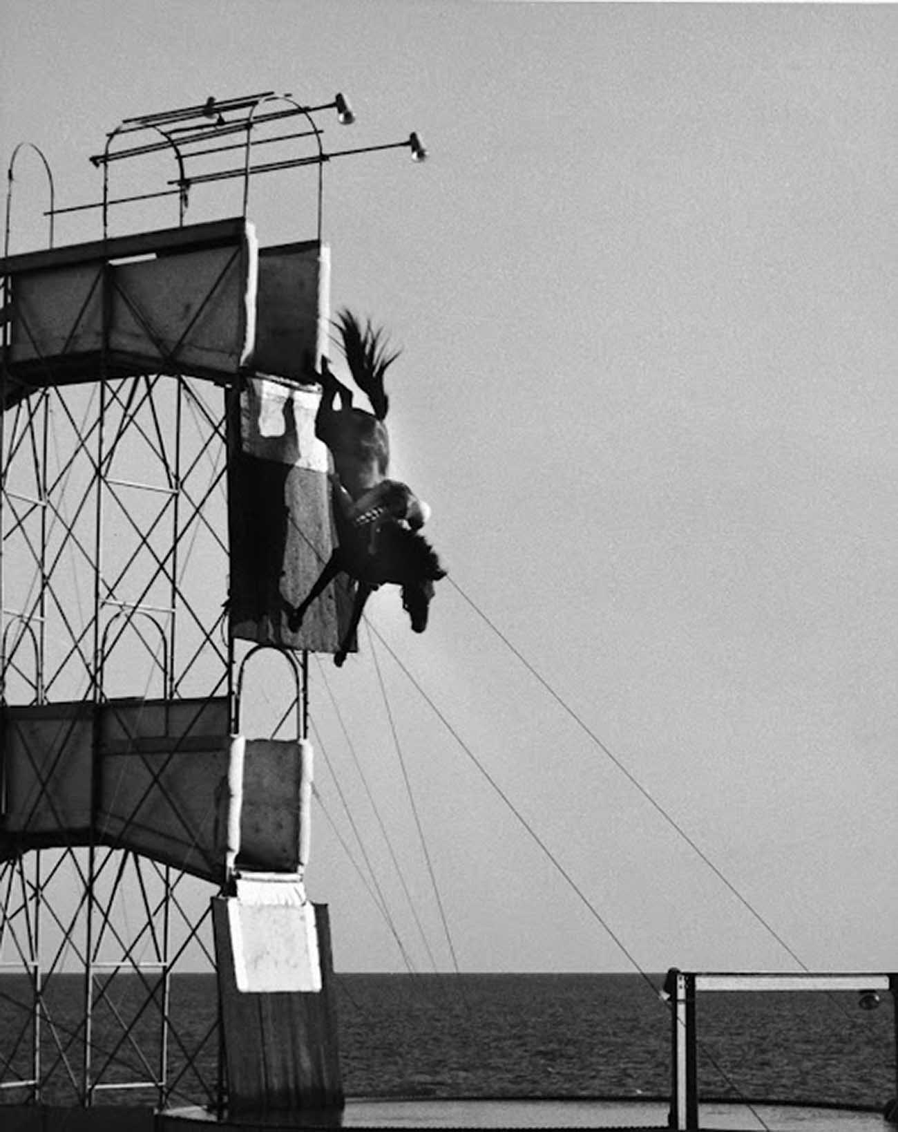 diving horse vintage photos