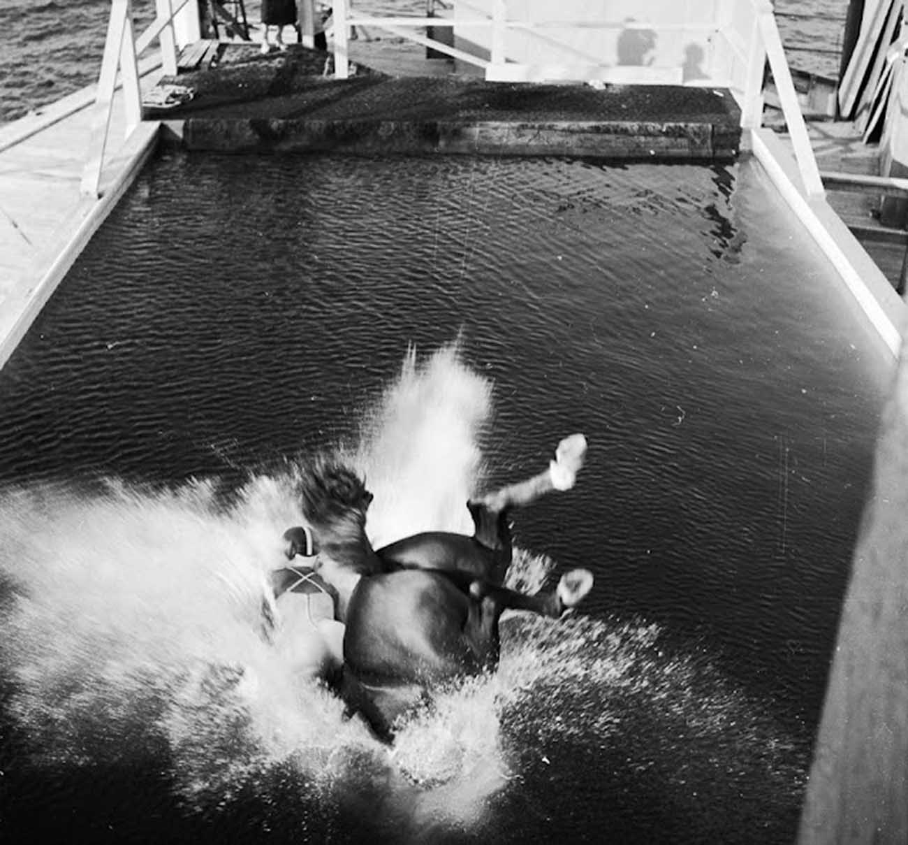 diving horse vintage photos