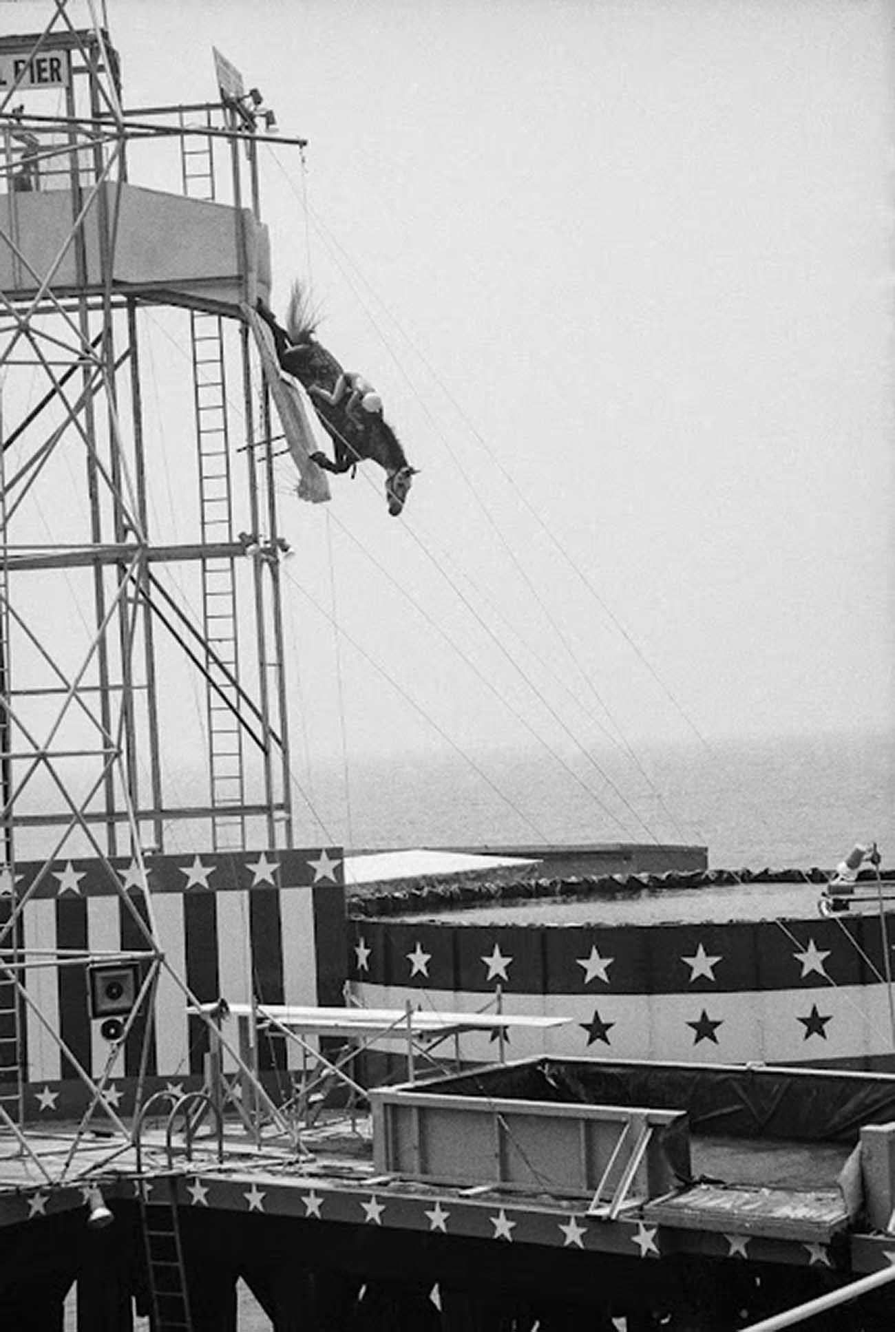 diving horse vintage photos