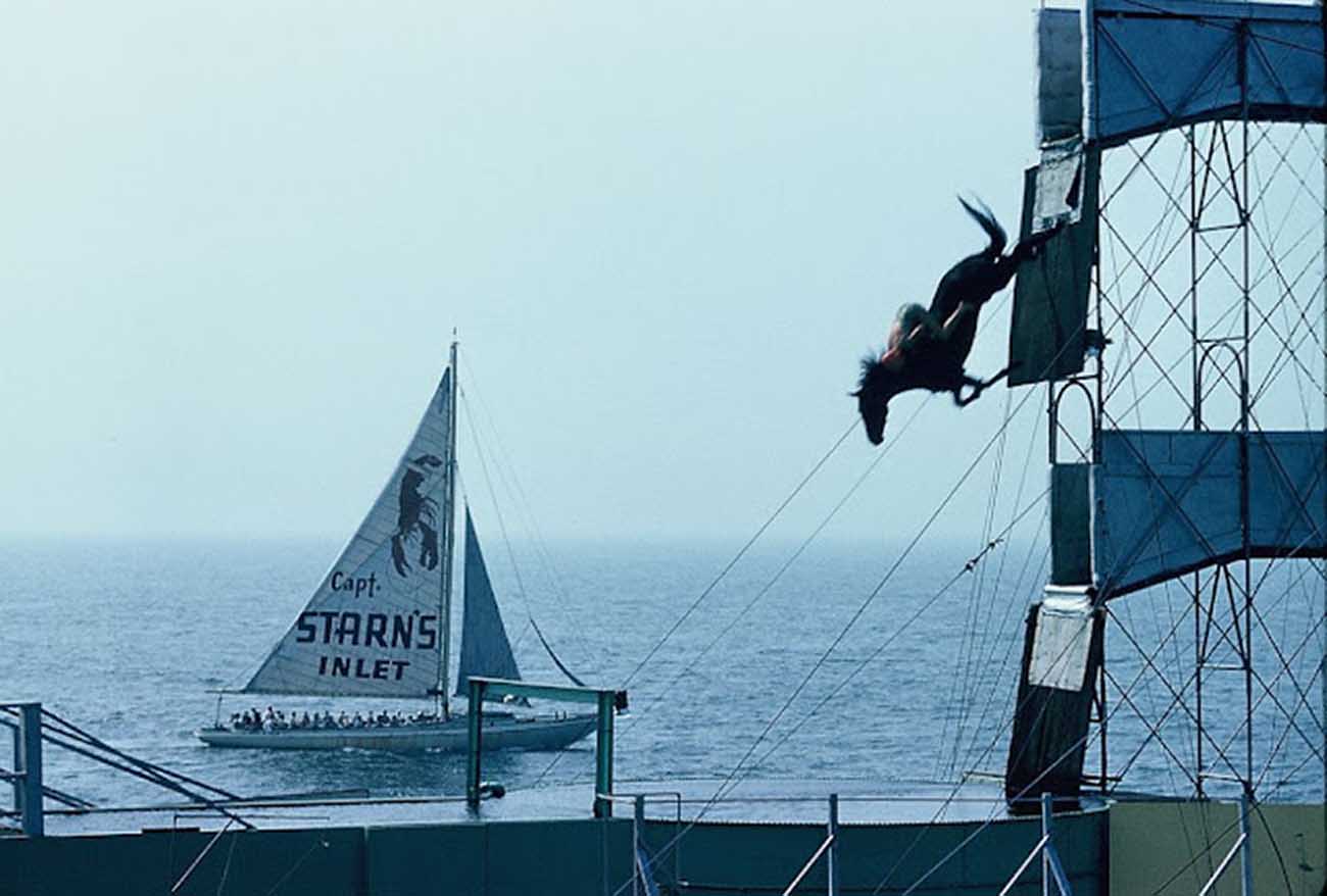 diving horse vintage photos