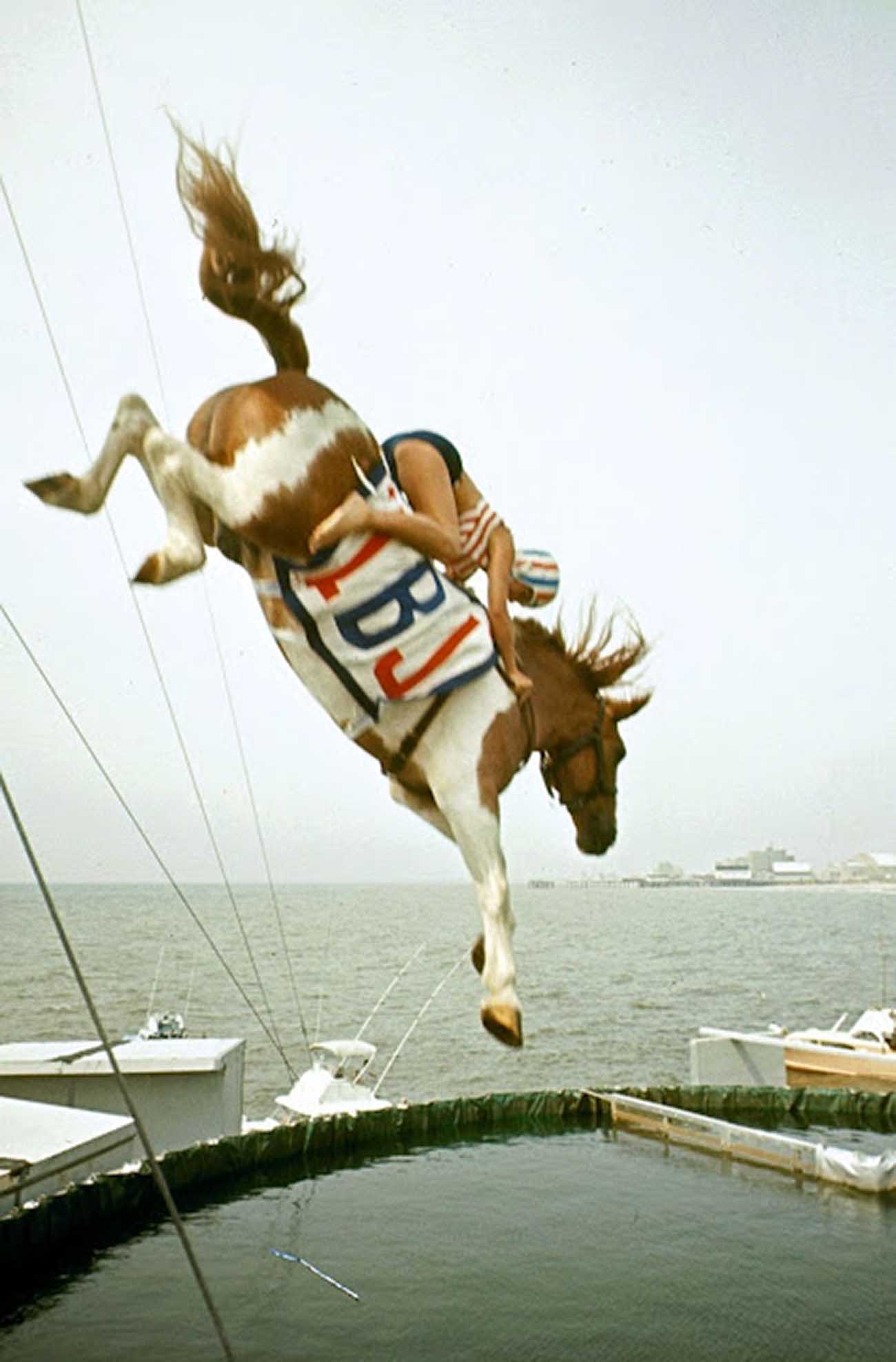 diving horse vintage photos