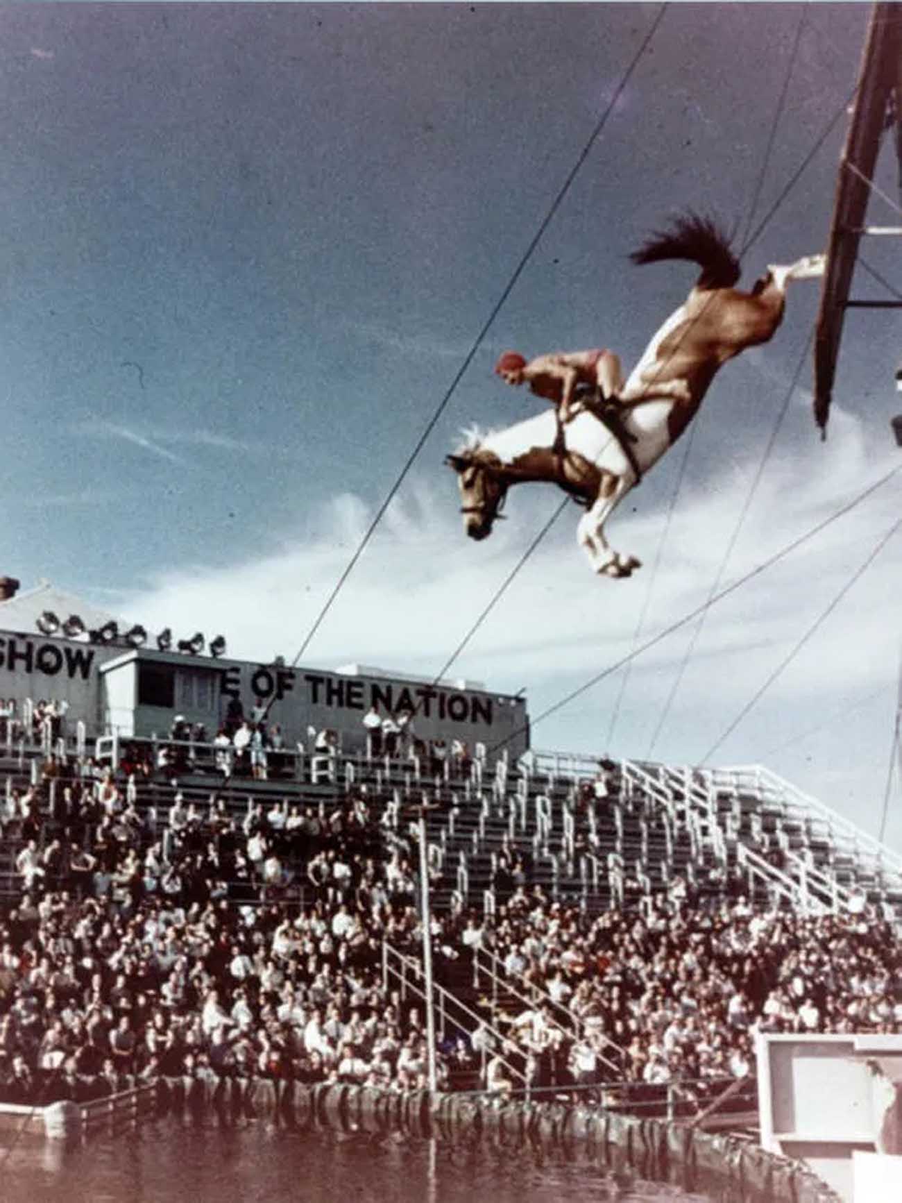 diving horse vintage photos