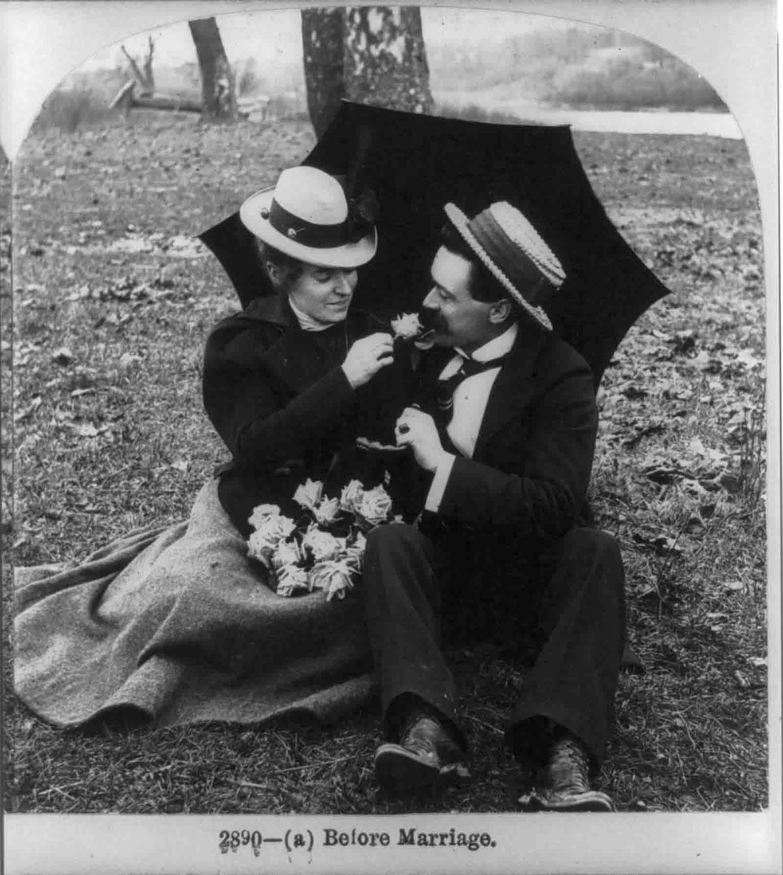 courtship naughty stereo cards