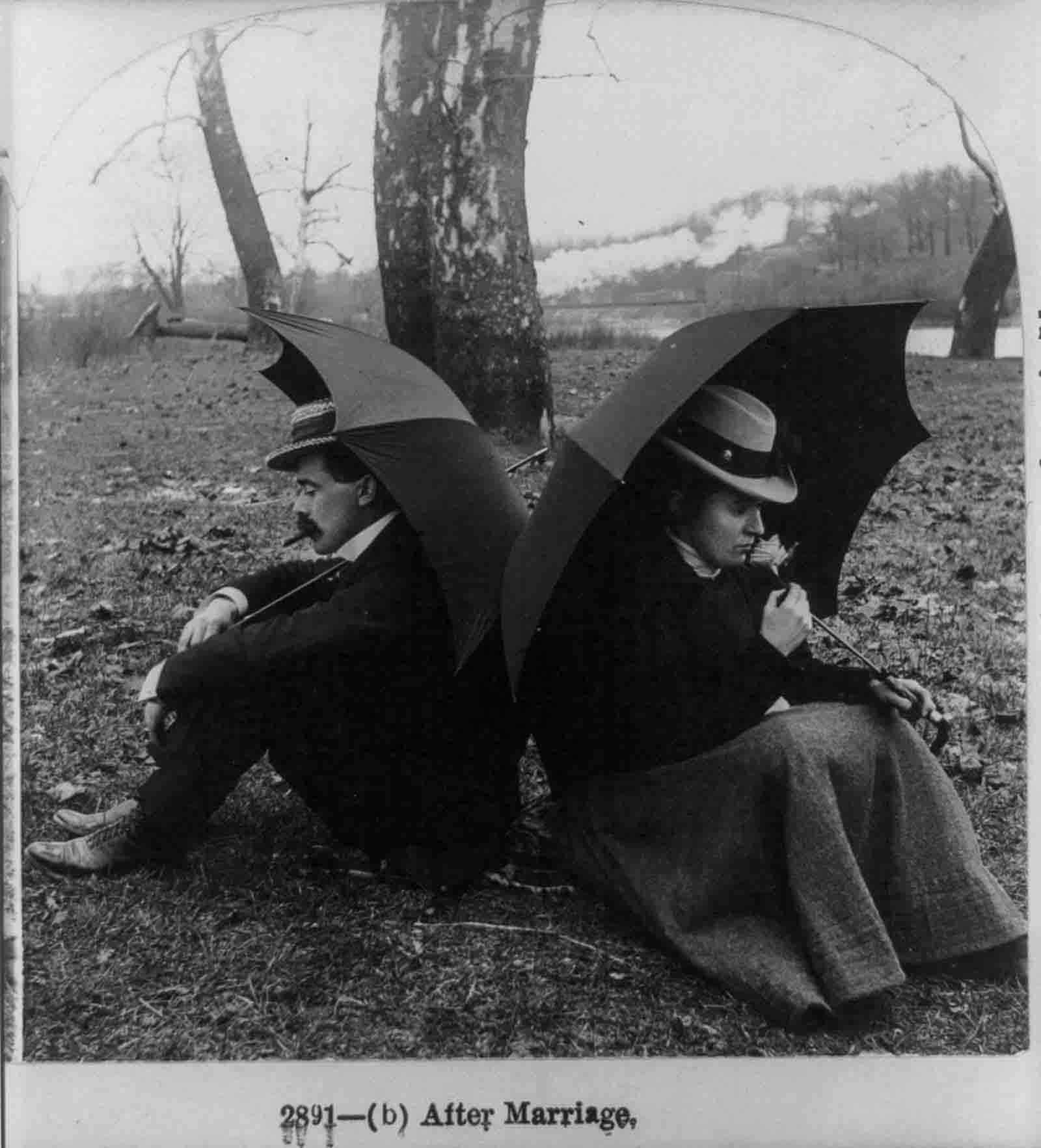 courtship naughty stereo cards