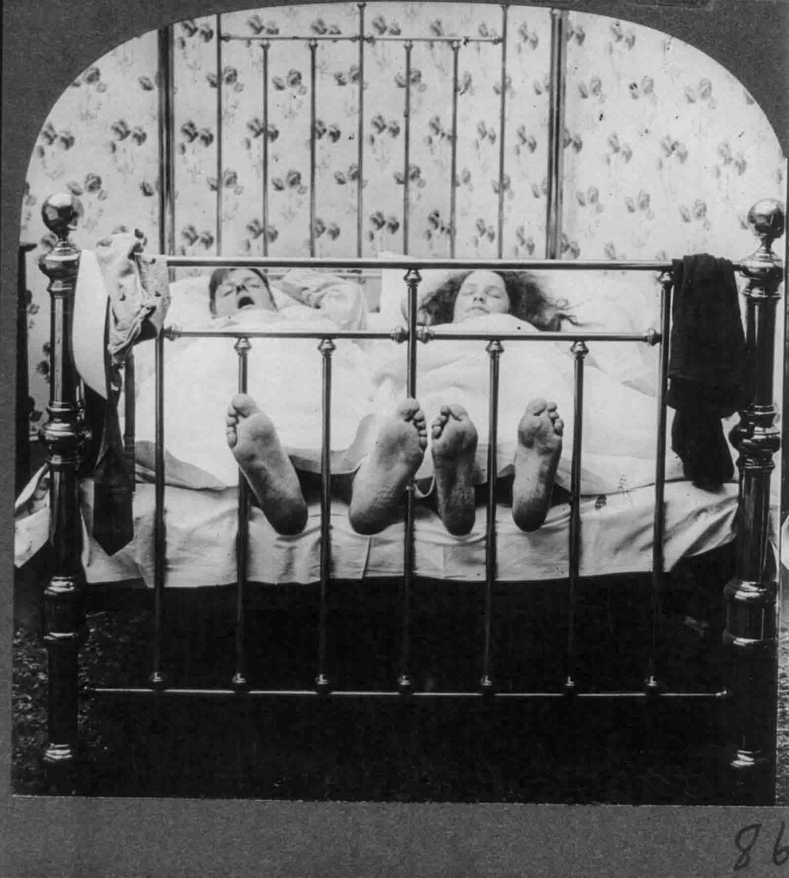 courtship naughty stereo cards
