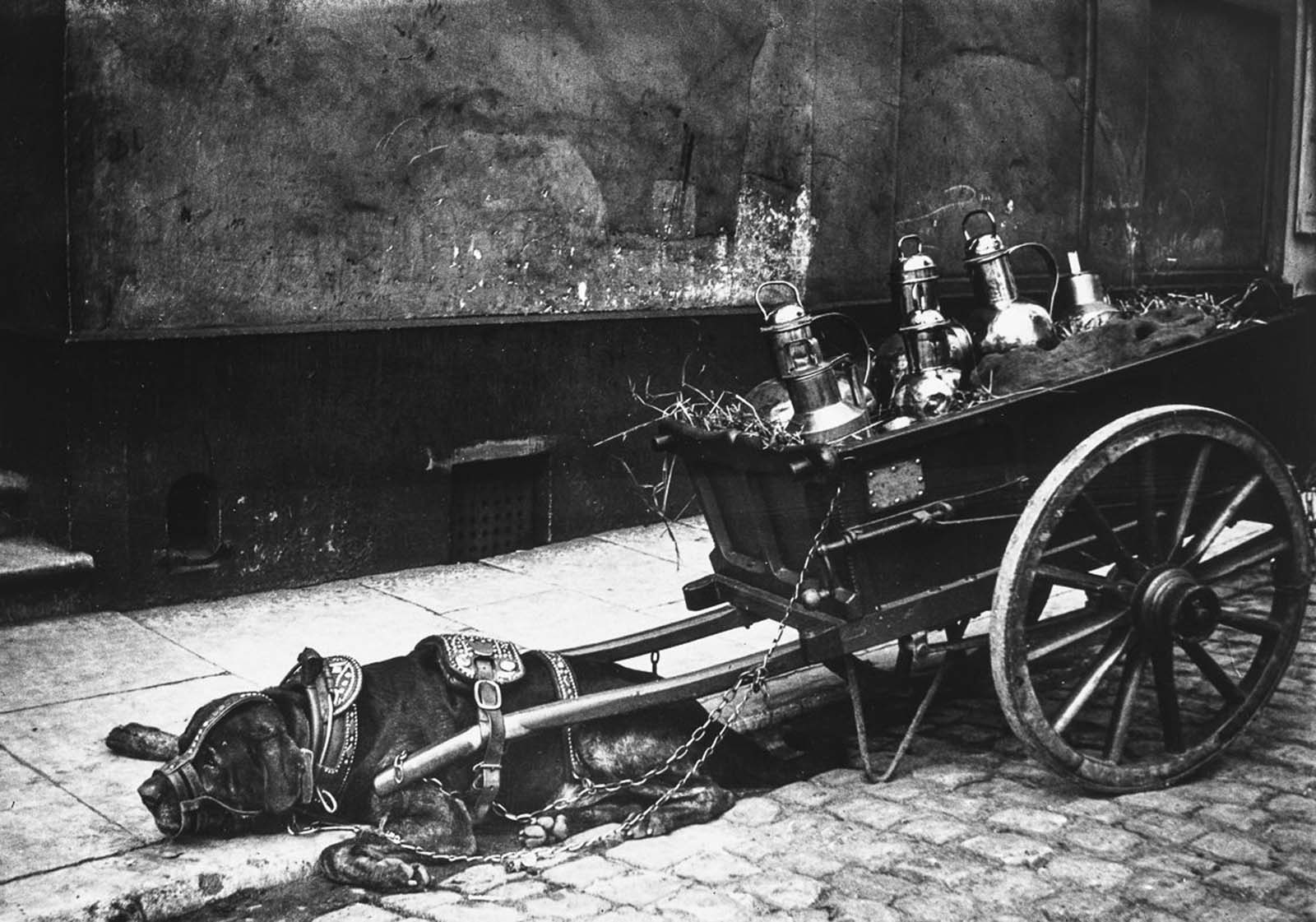 amsterdam photographs george hendrik breitner