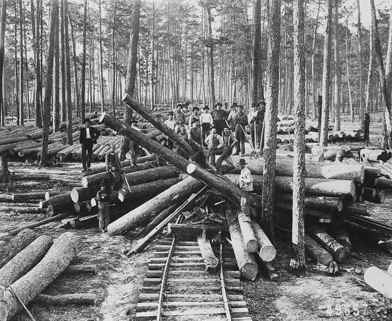 lumberjacks vintage photographs