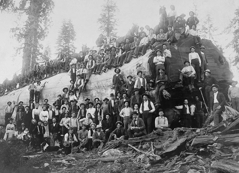 lumberjacks vintage photographs