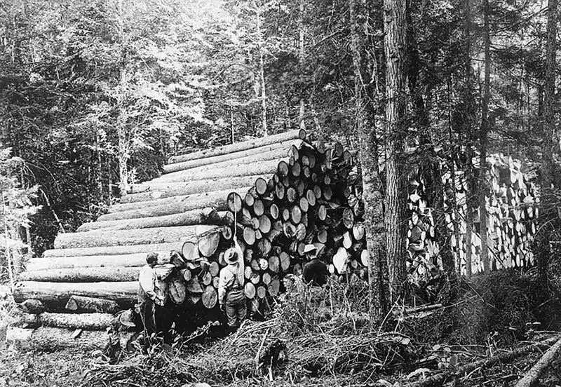 lumberjacks vintage photographs