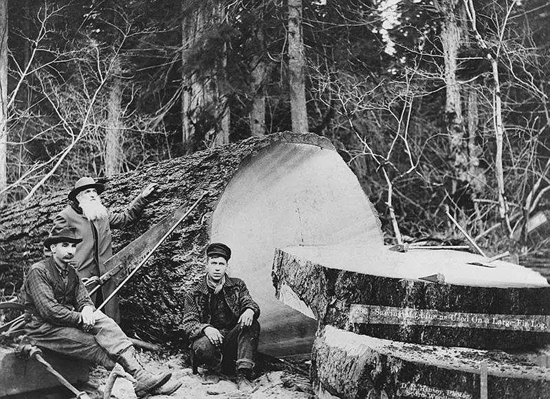 lumberjacks vintage photographs