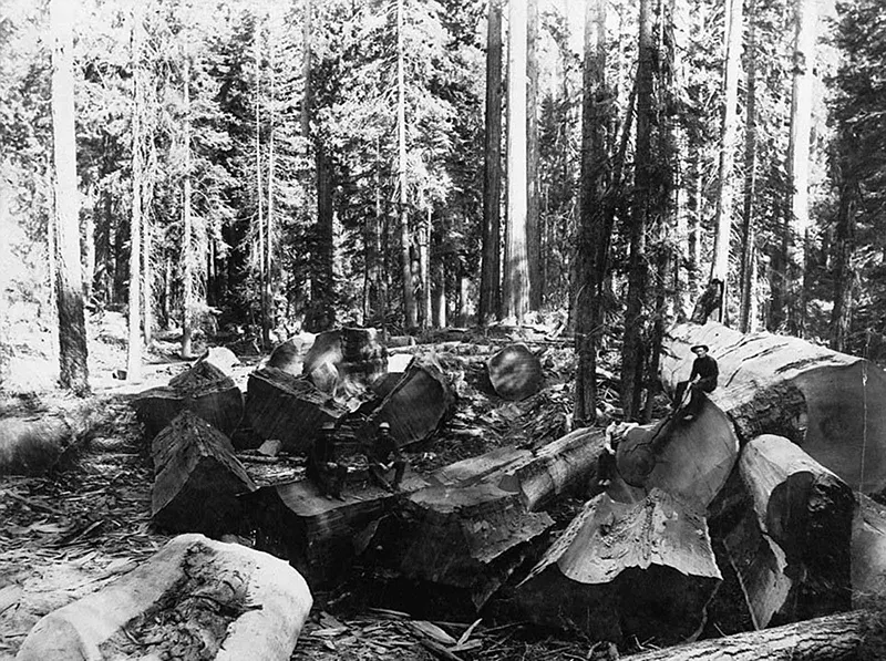 lumberjacks vintage photographs