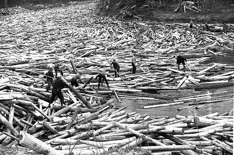 lumberjacks vintage photographs