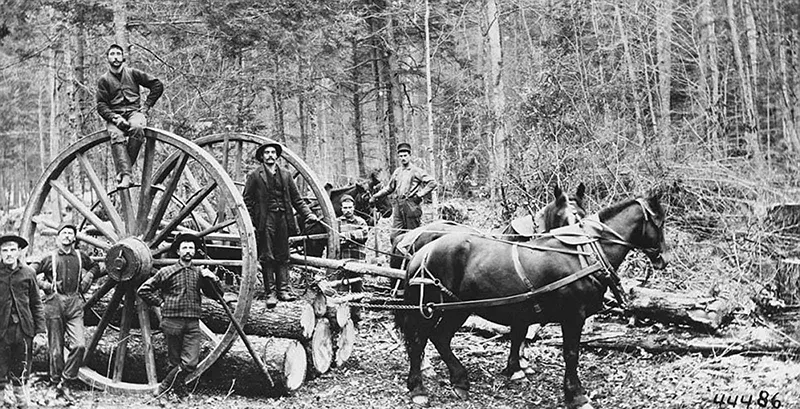 lumberjacks vintage photographs