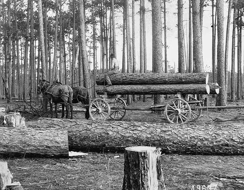 lumberjacks vintage photographs
