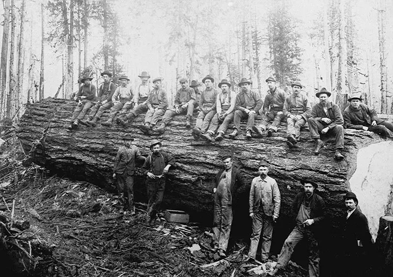 lumberjacks vintage photographs
