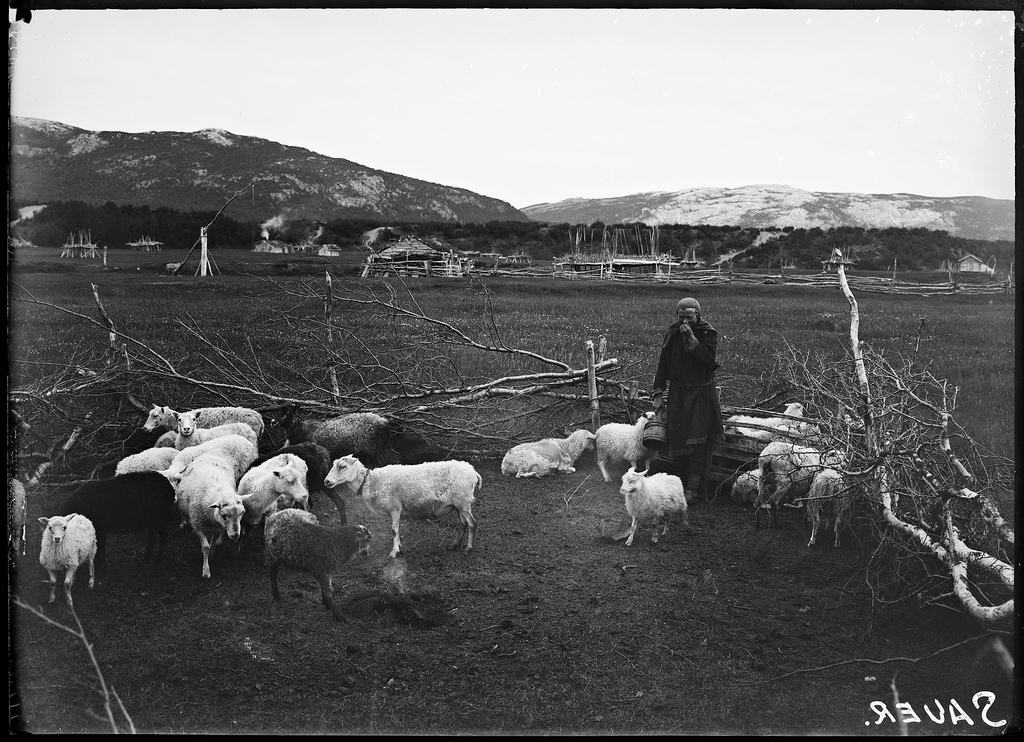 sami people old photos
