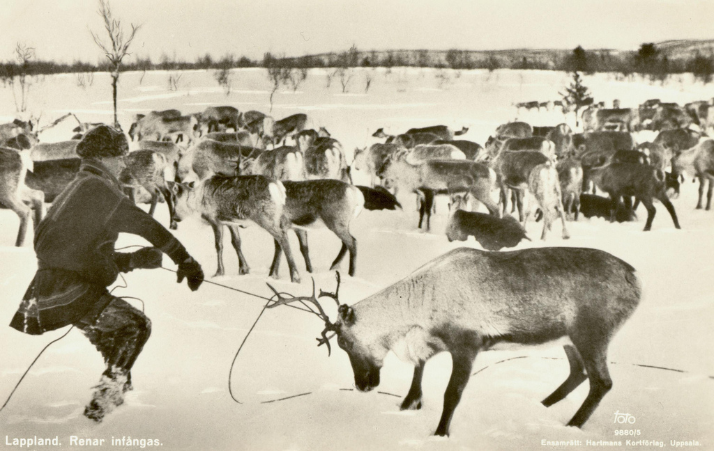 sami people old photos