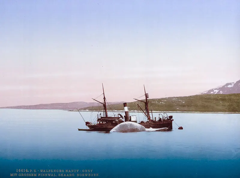 Photochroms Norway 19th century