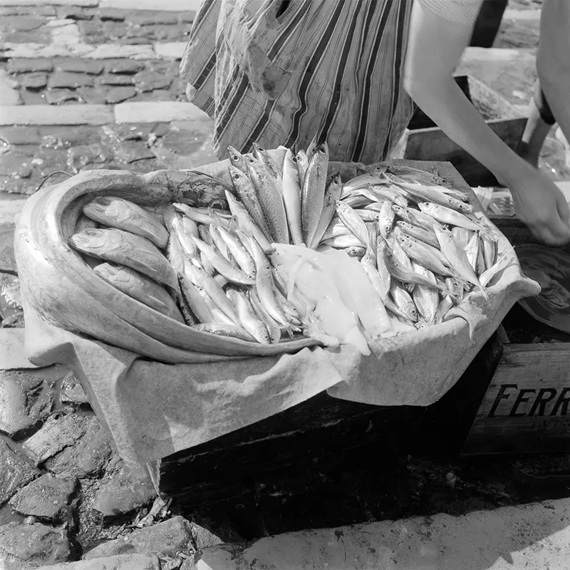 fishing portugal vintage photos