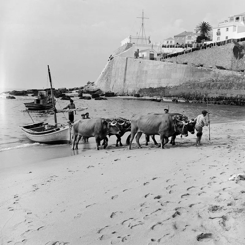 fishing portugal vintage photos