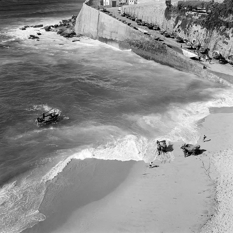 fishing portugal vintage photos