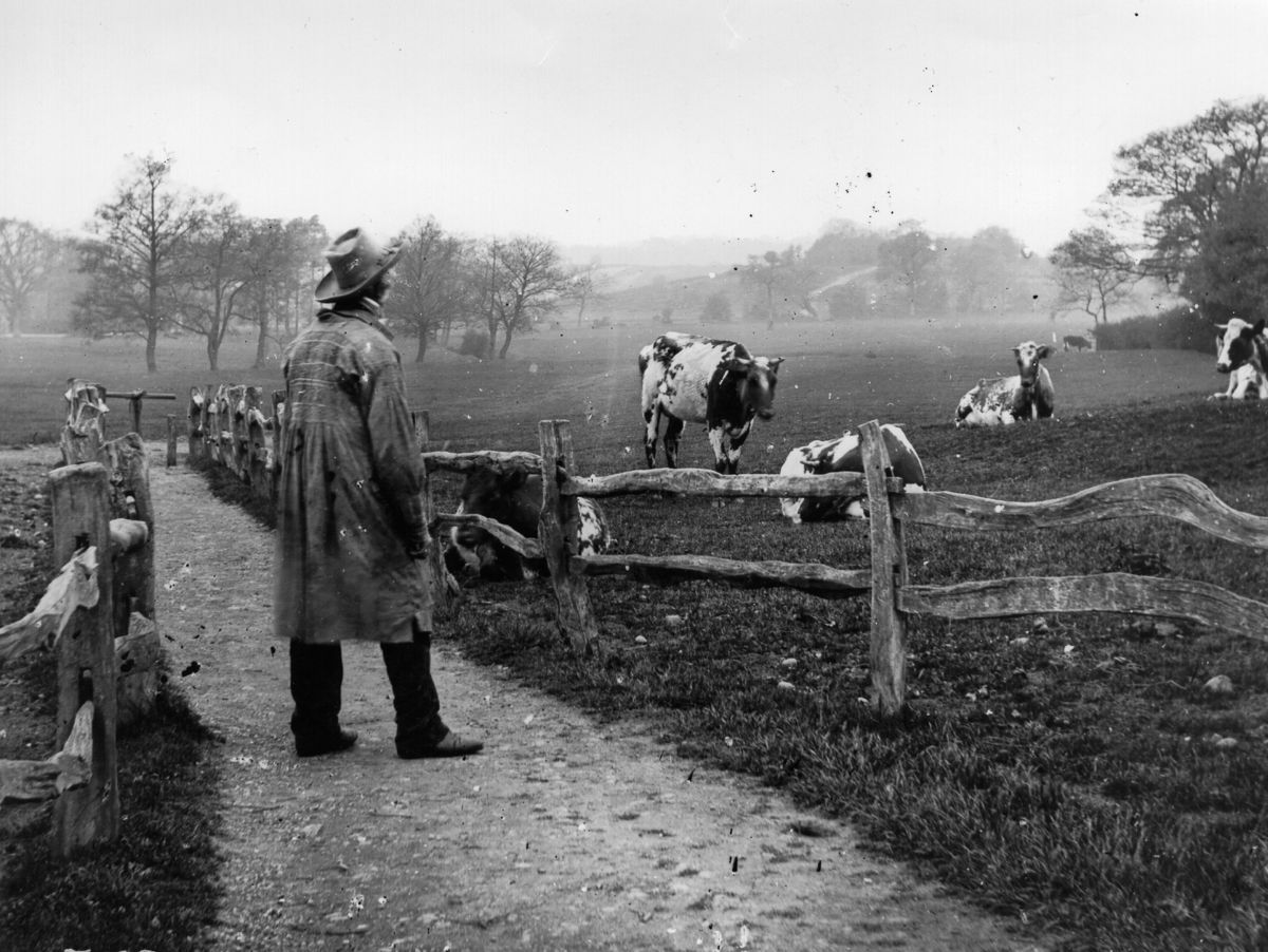 rural victorian england photos william grundy