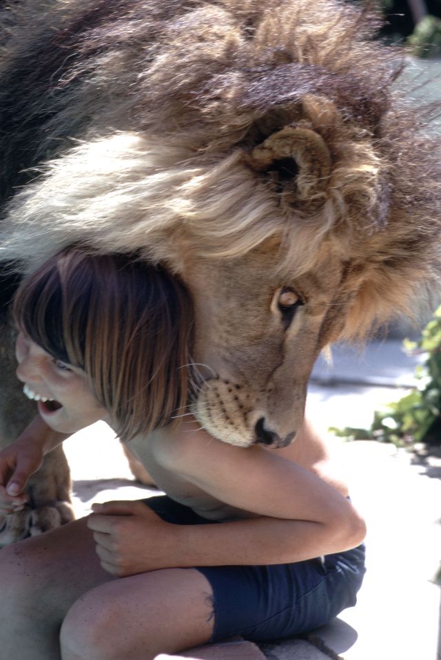 Neil the lion photos Tippi Hedren and Melanie Griffith