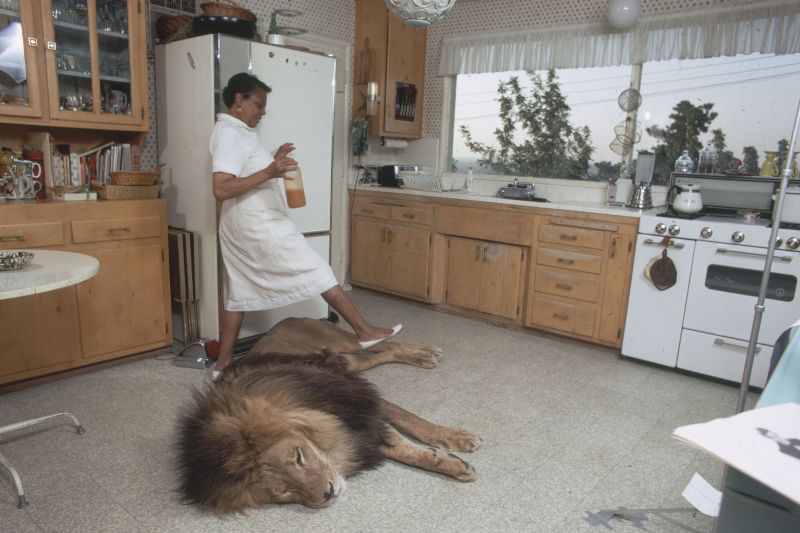 Neil the lion photos Tippi Hedren and Melanie Griffith