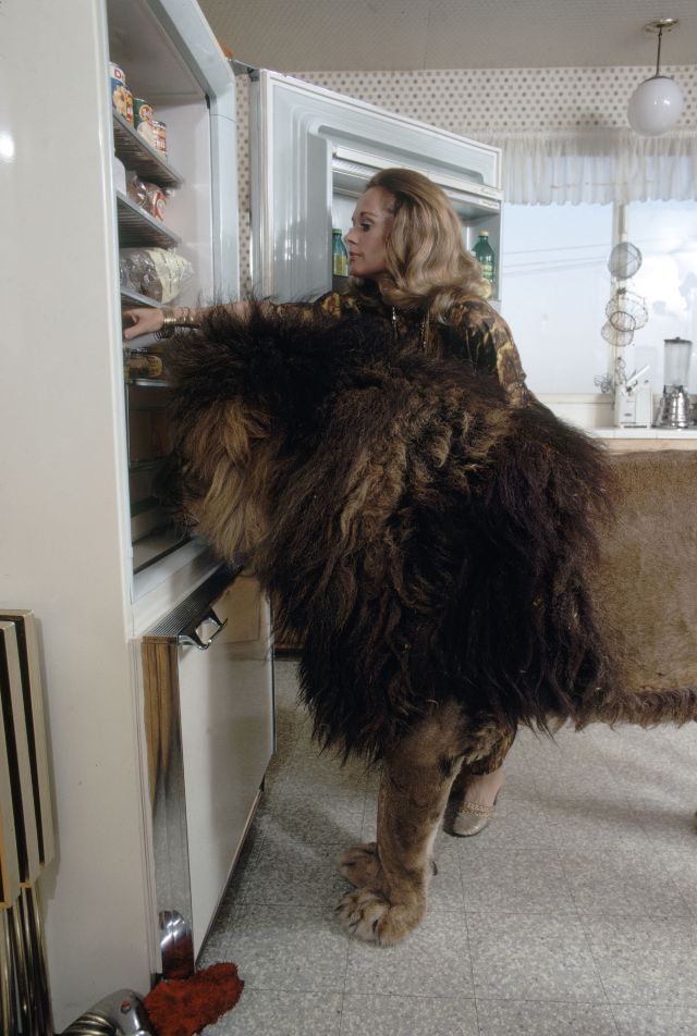 Neil the lion photos Tippi Hedren and Melanie Griffith