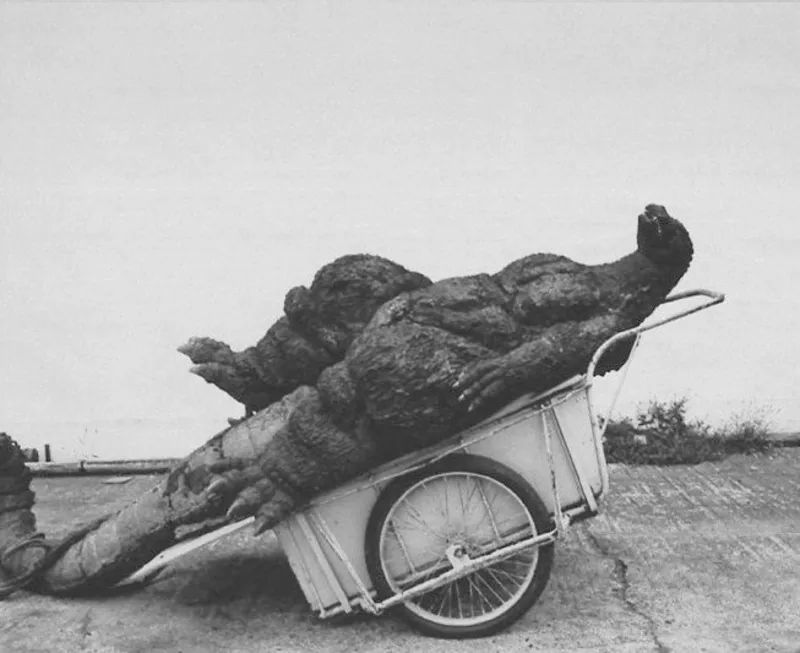 Godzilla behind the scene photos