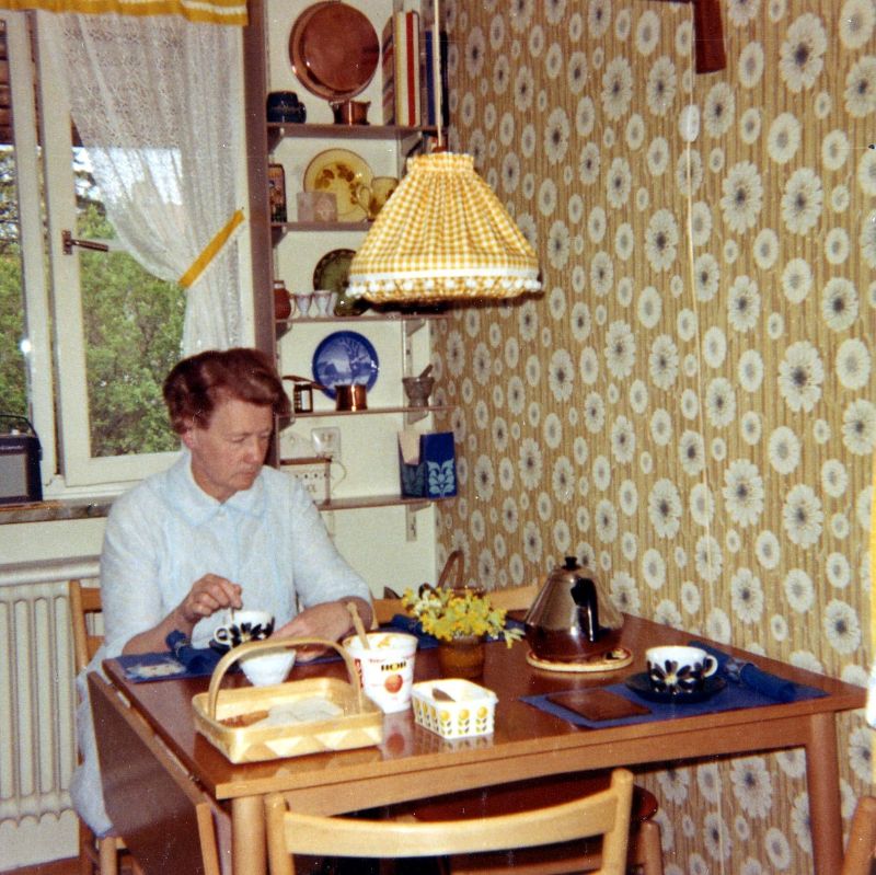 Kitchen Designs from the 1960s